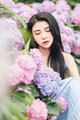 免费观看《国色芳华》电视剧？这几个渠道你知道吗！